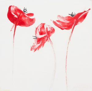 Red Poppies