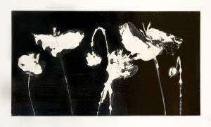 white poppies landscape